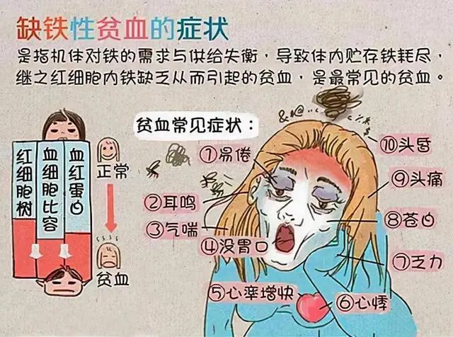 缺铁性贫血的现状、症状