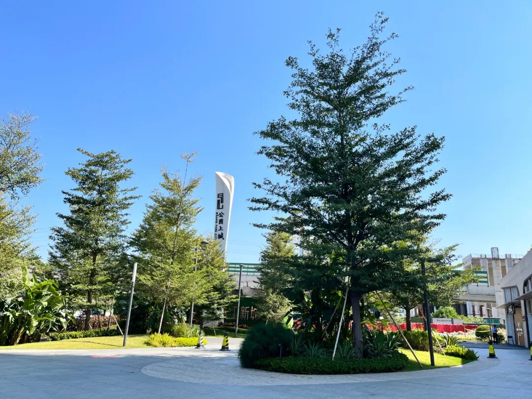 预算200万在广州怎么买？公园上城VS星汇城TOD！