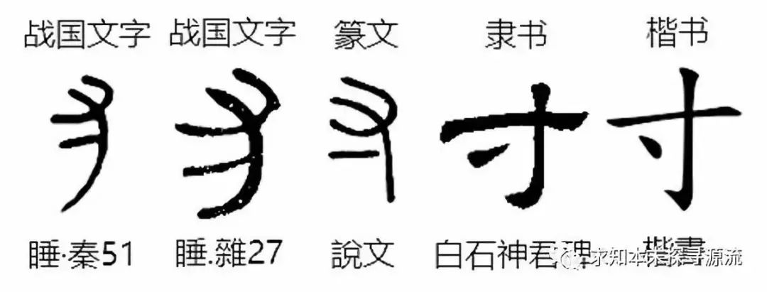 细说汉字 298 寸草春晖 说 寸 求知本末探寻源流 微信公众号文章阅读 Wemp