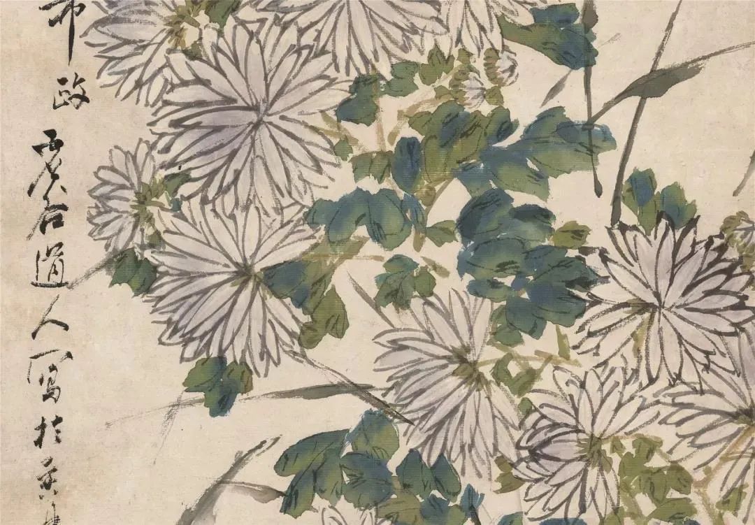 深秋 赏大师秋菊图 陶冶身心 全网搜
