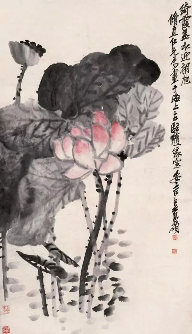 初夏，赏吴昌硕泼墨荷花，生机勃发- 全民收藏网