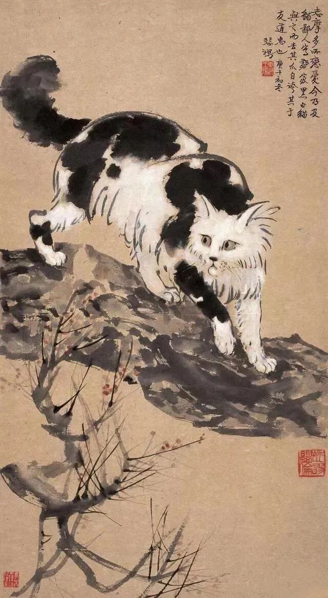 徐悲鸿先生画笔下的小花猫(图8)