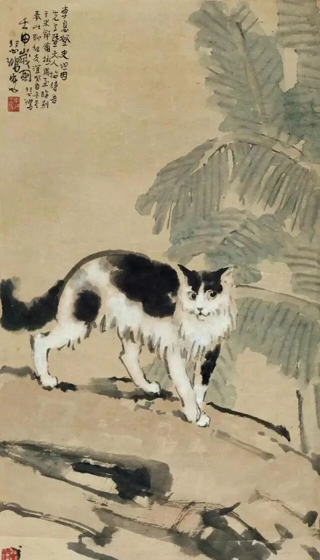 徐悲鸿先生画笔下的小花猫(图15)