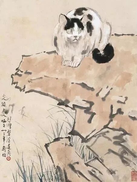 徐悲鸿先生画笔下的小花猫(图17)