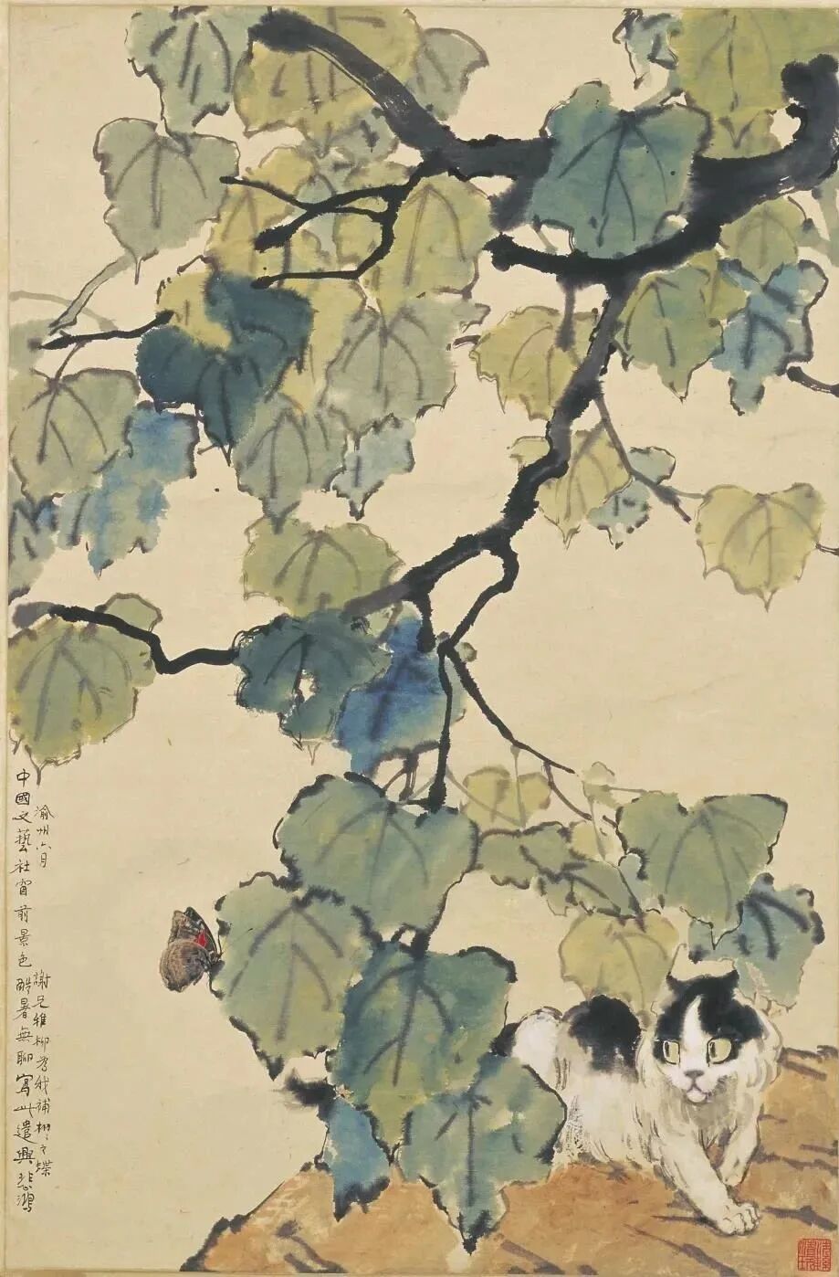 徐悲鸿先生画笔下的小花猫(图7)