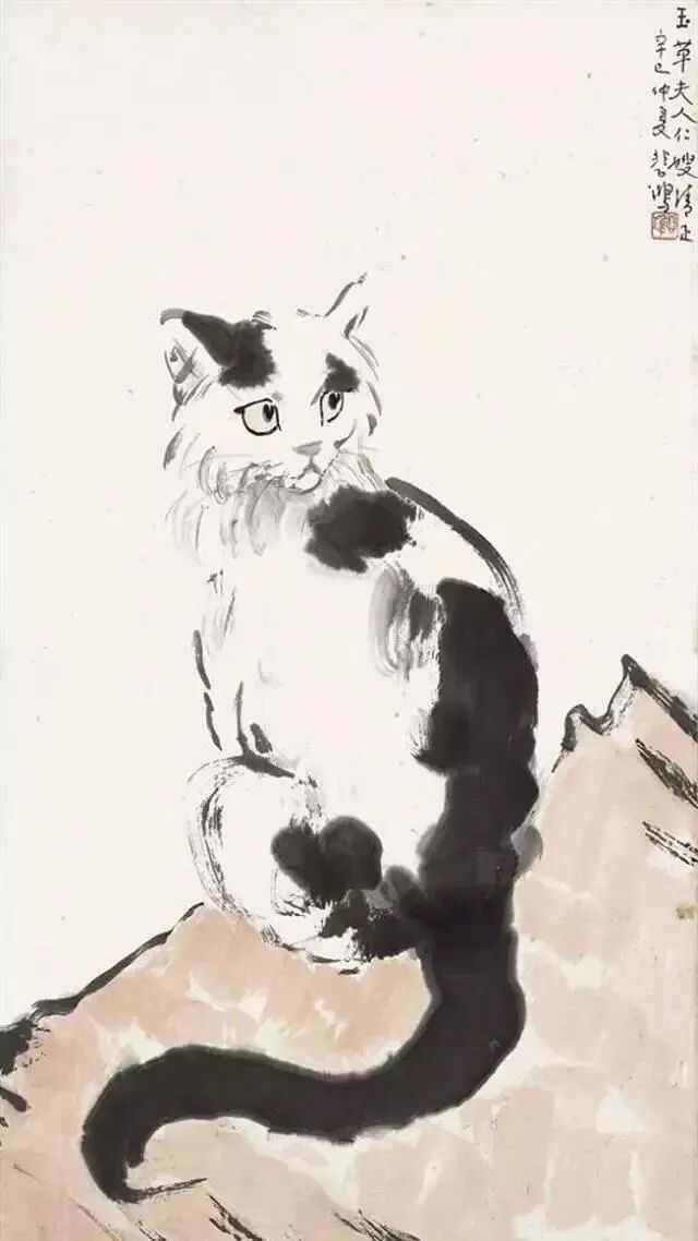 徐悲鸿先生画笔下的小花猫(图13)