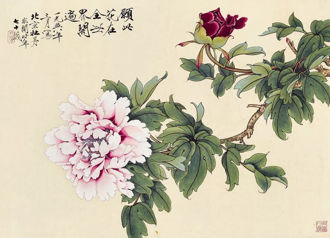 历代名手画牡丹独占人间第一香