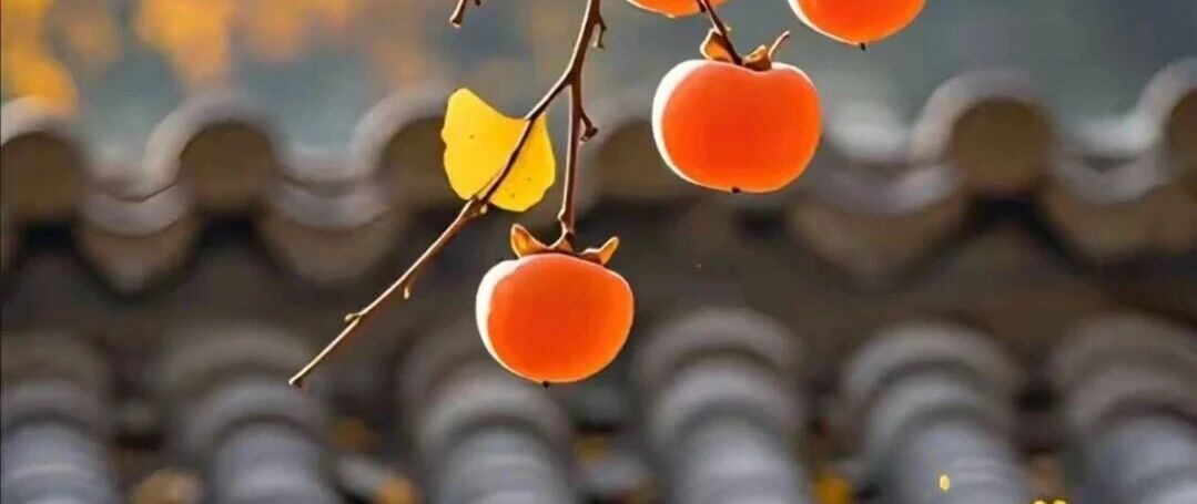 教育最大的捷径：是把时间和精力花在孩子的童年！