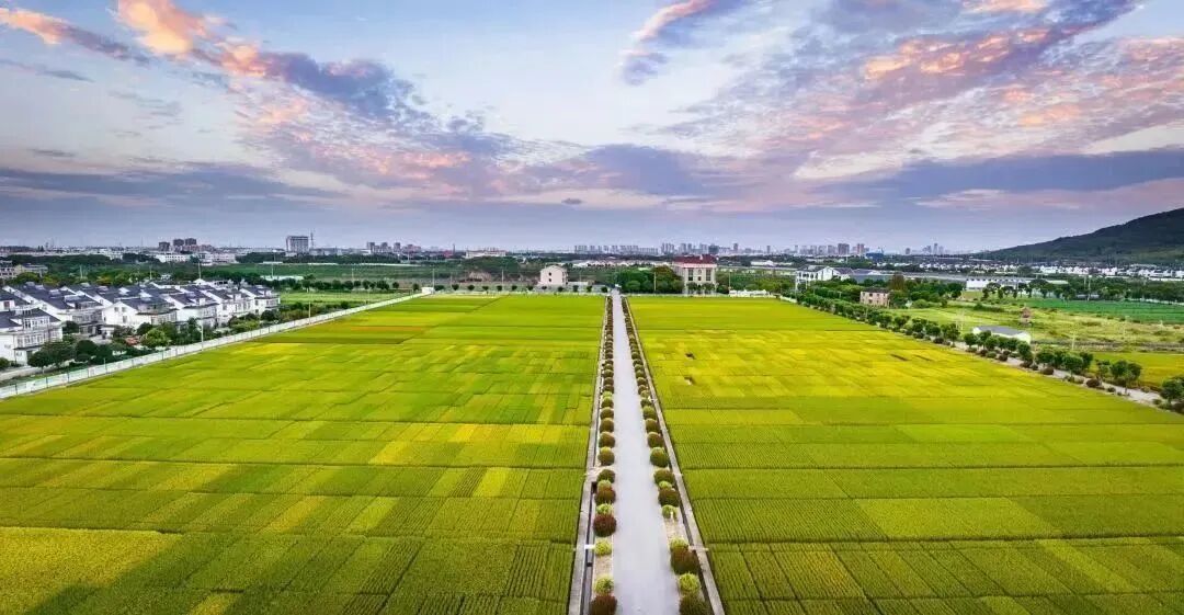 常熟蕈常熟田省级宝藏