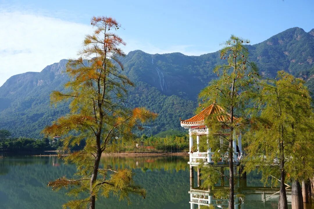 图/白水寨旅游区