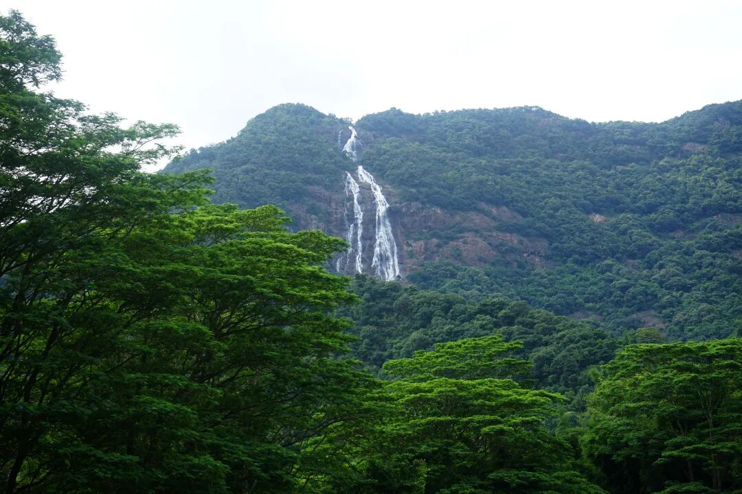 图/白水寨旅游区