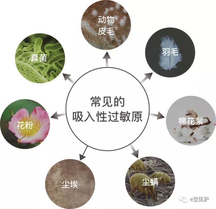 fa6100怎么使用一直流鼻涕究竟该怎么治？ 4 大方法，最权威专家指南_https://www.jmylbn.com_新闻资讯_第4张