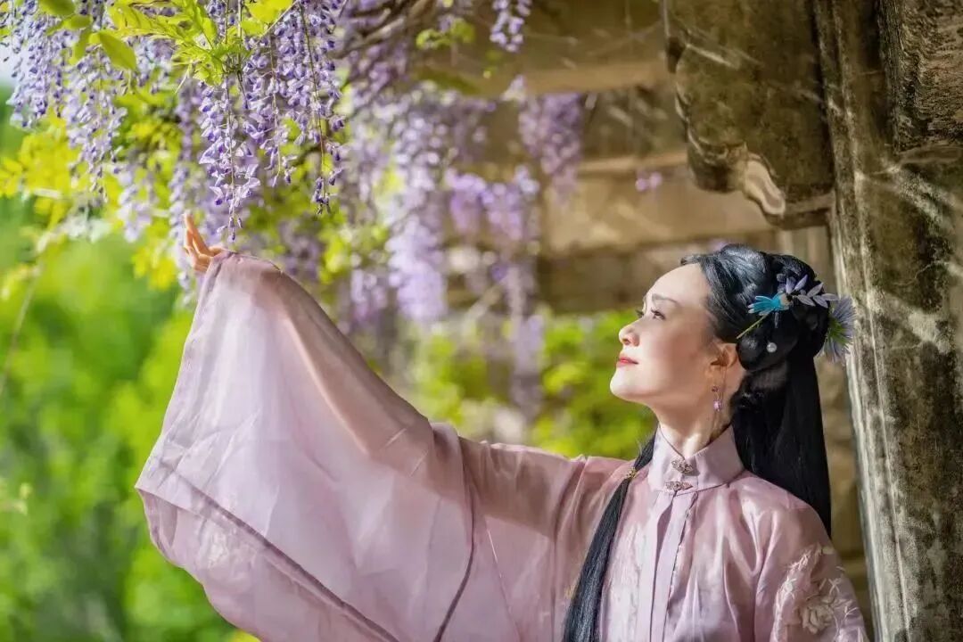 成都保利紫藤花语公园_彼岸花花语和寓意_紫藤花寓意及花语