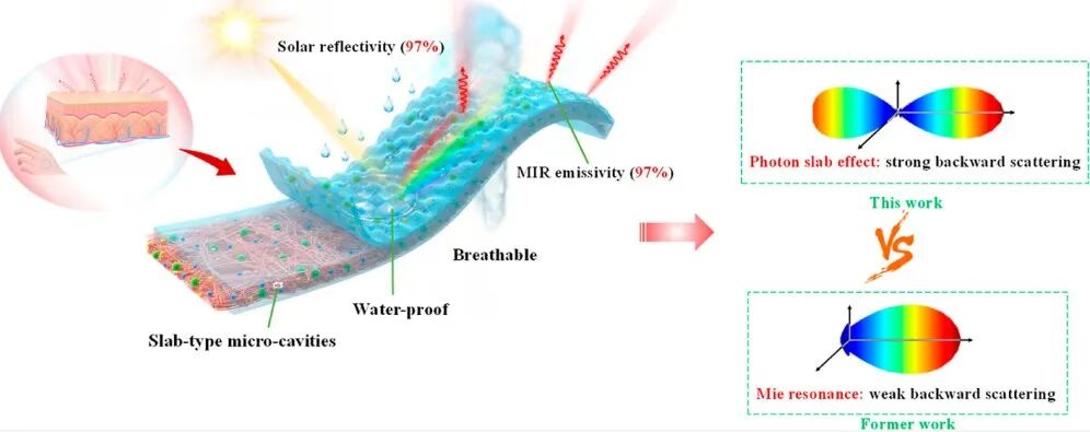 受人体皮肤启发的辐射制冷织物的图2