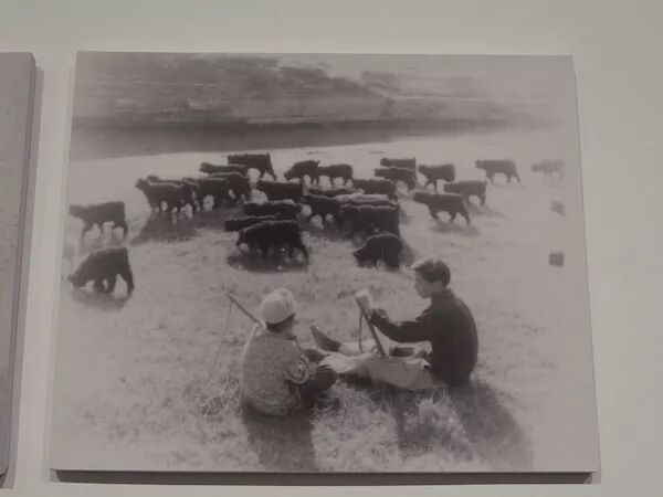 郝志强画家的油画多少钱_油画是哪里的画种之一_油画大师画人体画