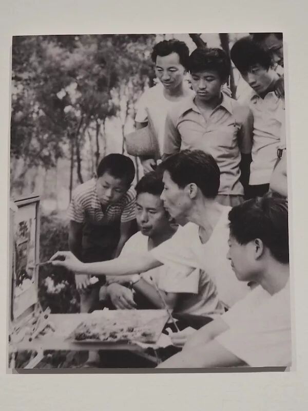 油画是哪里的画种之一_油画大师画人体画_郝志强画家的油画多少钱