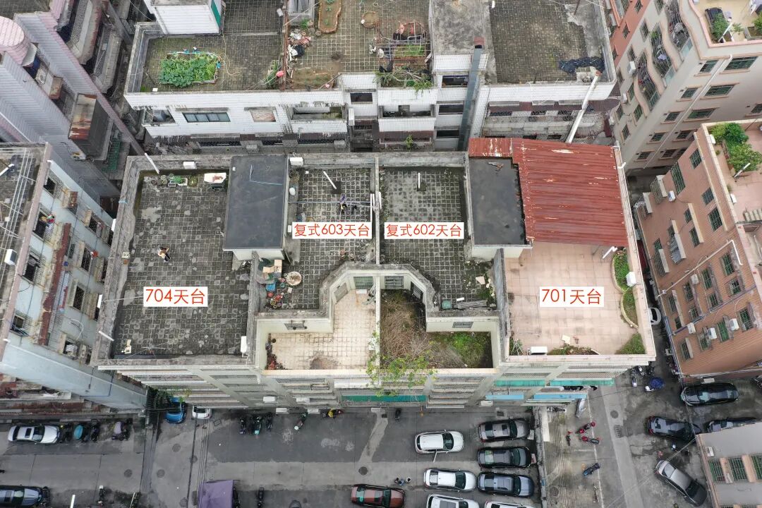 两条“弃狗”，将一对年轻夫妇卷入犯罪指控117 / 作者:儿时的回忆 / 帖子ID:306562