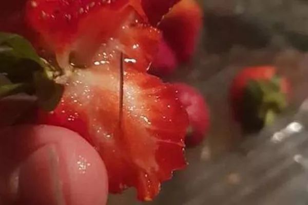 澳大利亚“草莓藏针”事件，终于查清了