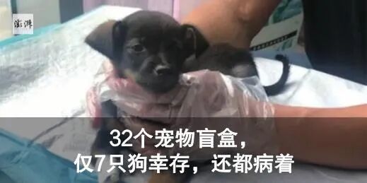 马斯克谴责比特币能耗，“挖矿”到底多费电？