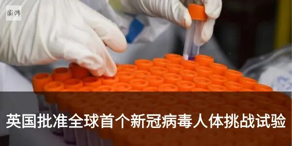 比特币突破万亿市值，马斯克换新头像