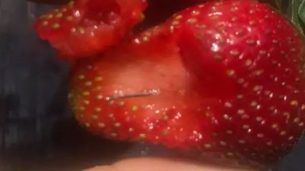 澳大利亚连爆“草莓藏针”恶性事件，政府悬赏近10万澳币寻凶