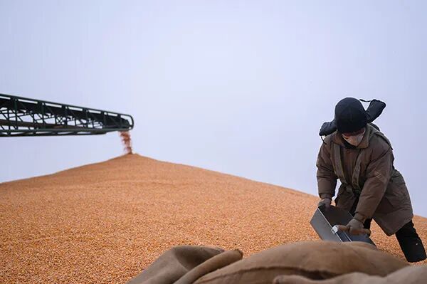 大家都忙着囤米有人买了500斤国家粮食和物资储备局负责人回应