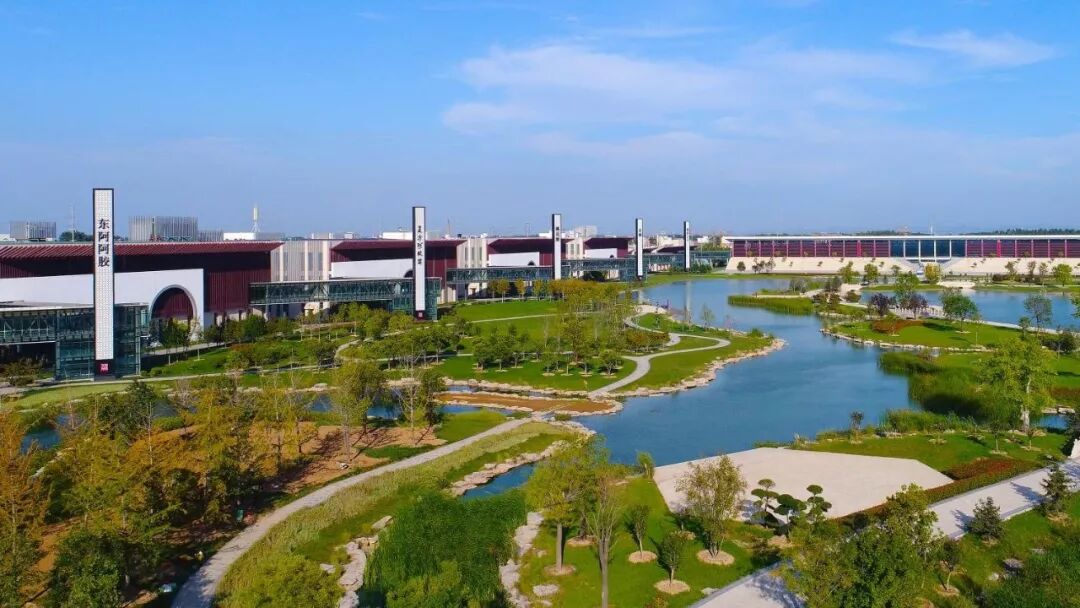 东阿阿胶世界被评选为2020年聊城市首届“网红打卡地” 东阿阿胶 第3张