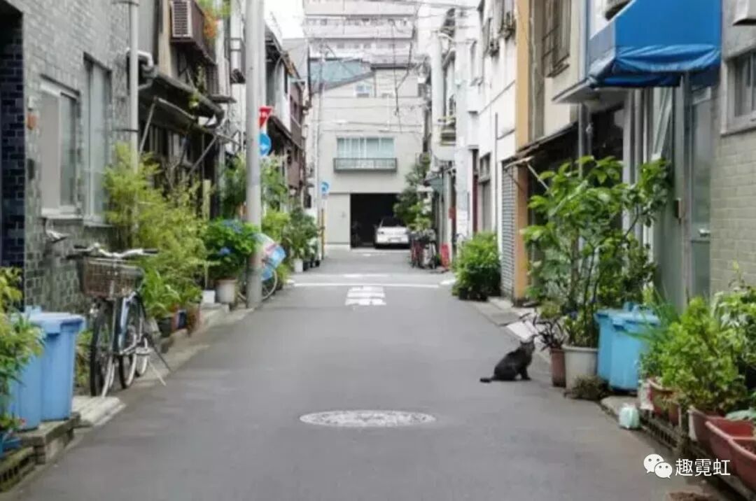 上游株式会社|不动产投资|赴日旅行|赴日医疗医美|国际贸易|商业咨询