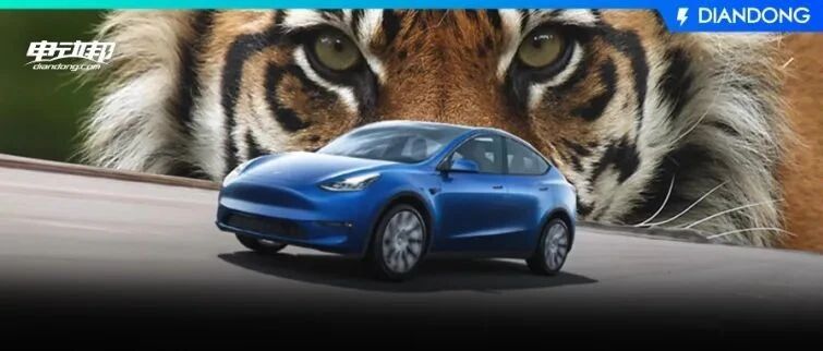 特斯拉Model Y恐怖“屠榜”！9月销量出炉，新能源汽车冲击年销200万