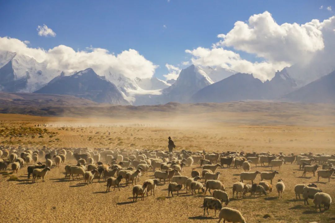 為什麼去過西藏的人都後悔了？ 旅遊 第13張