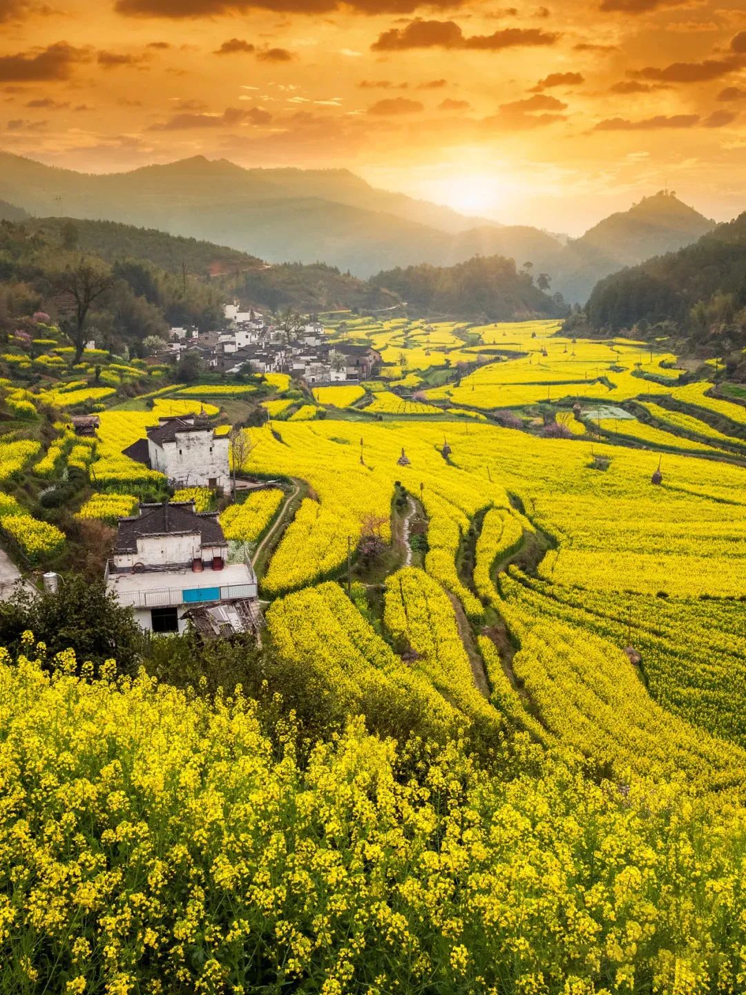 白鹭飞西塞山前白鹭飞_西塞山前白鹭飞下一句_西塞山前白鹭飞什么流水