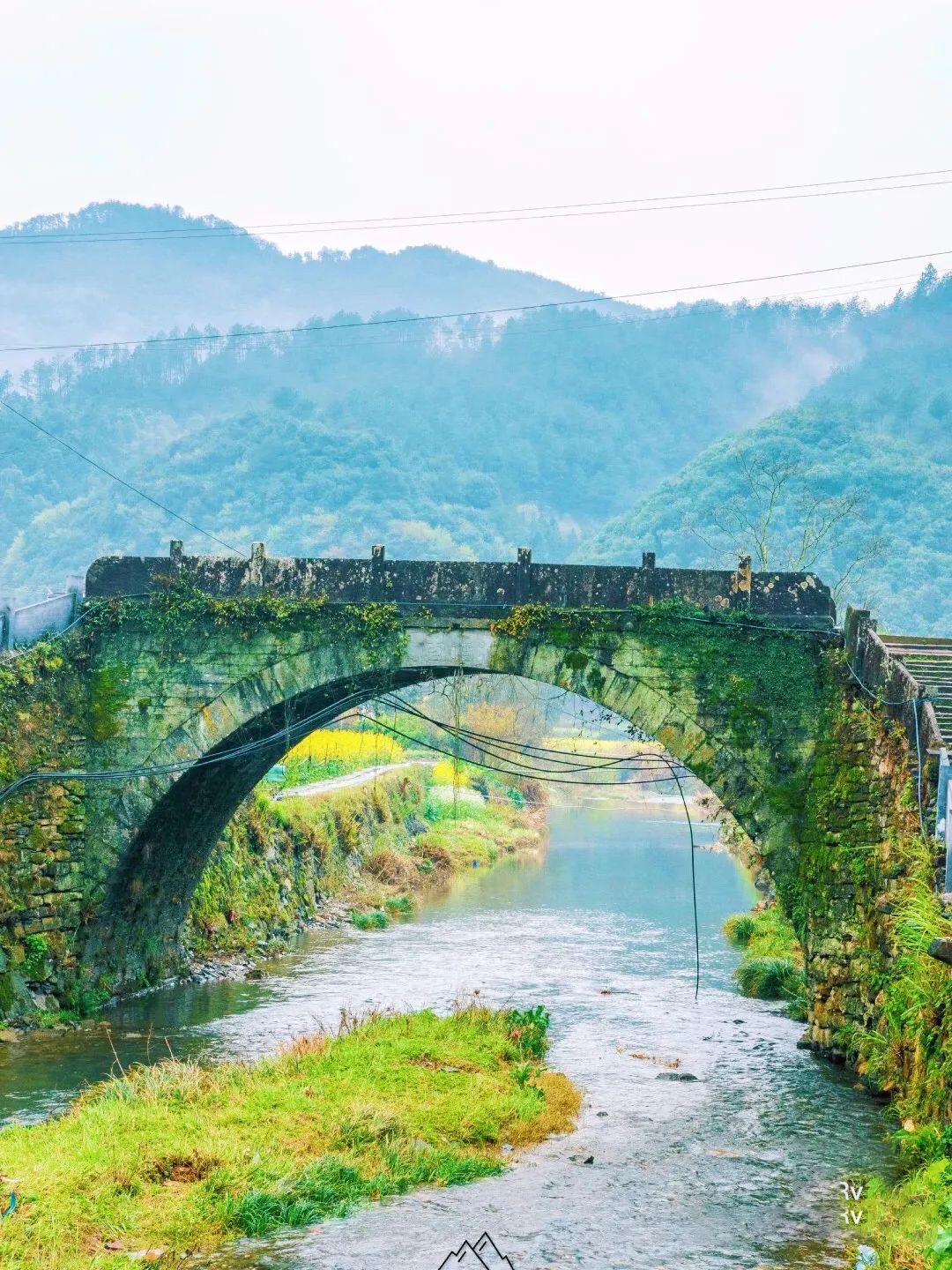 白鹭飞西塞山前白鹭飞_西塞山前白鹭飞什么流水_西塞山前白鹭飞下一句