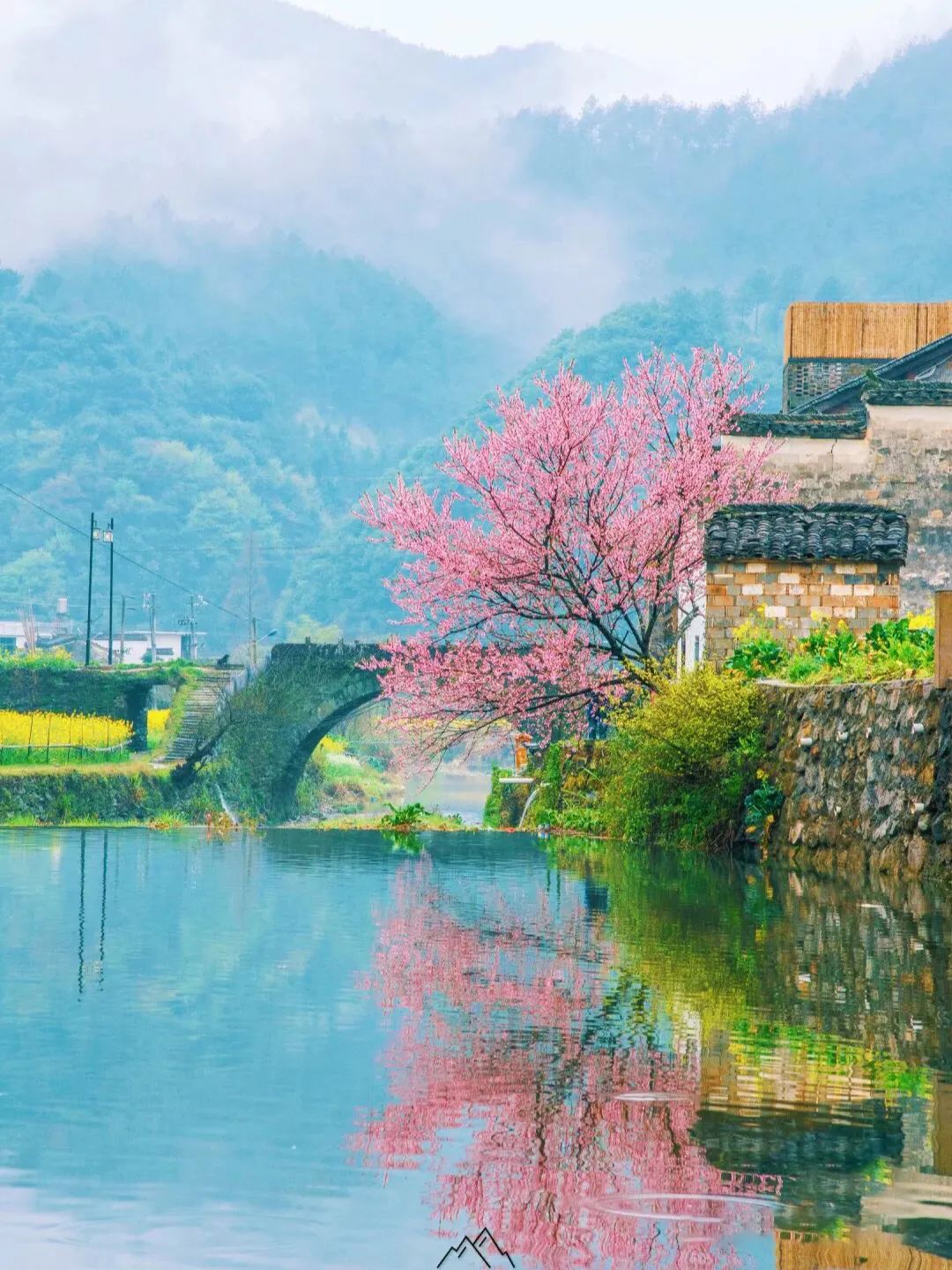 白鷺飛西塞山前白鷺飛_西塞山前白鷺飛下一句_西塞山前白鷺飛什么流水