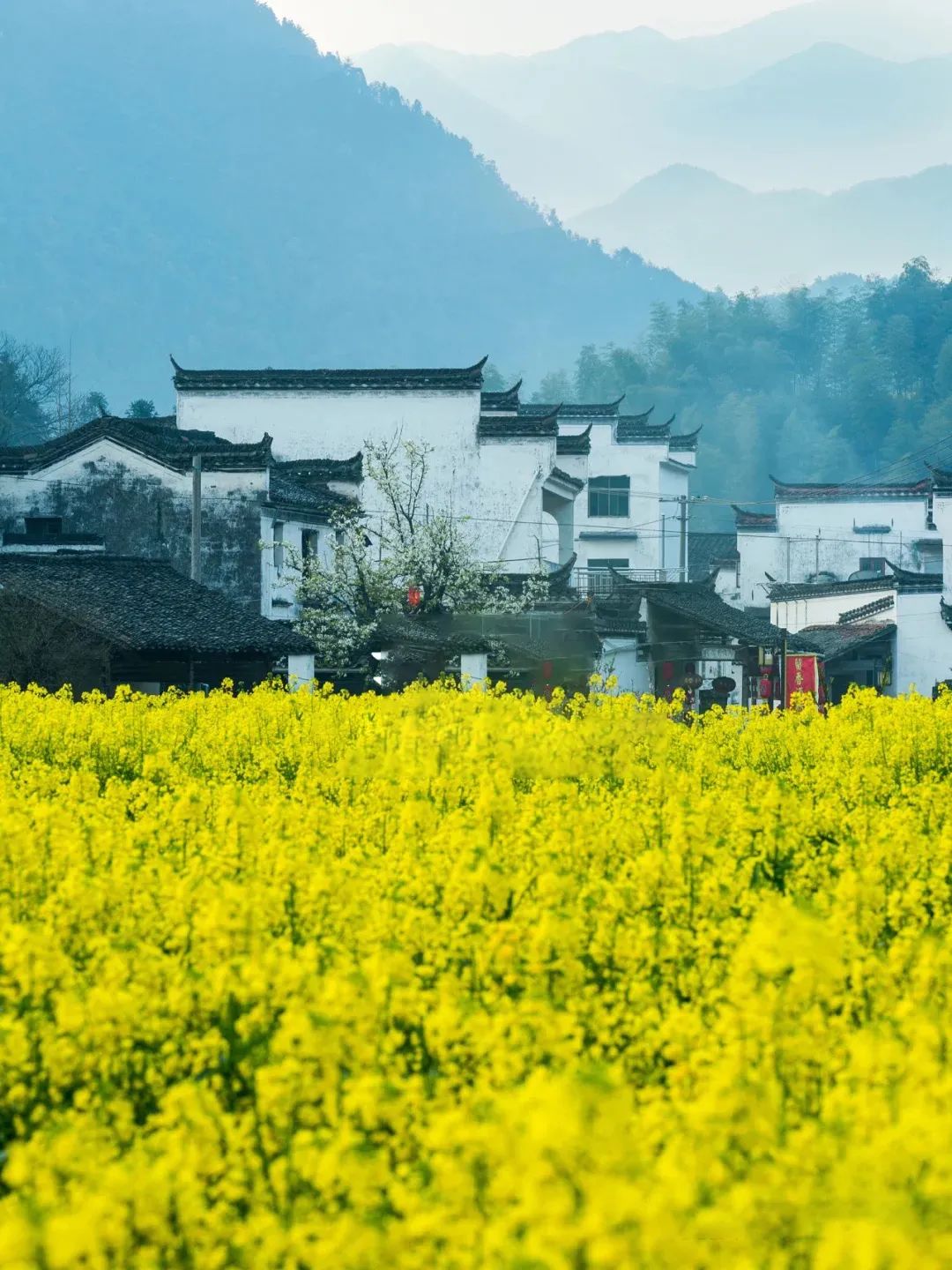 白鹭飞西塞山前白鹭飞_西塞山前白鹭飞下一句_西塞山前白鹭飞什么流水