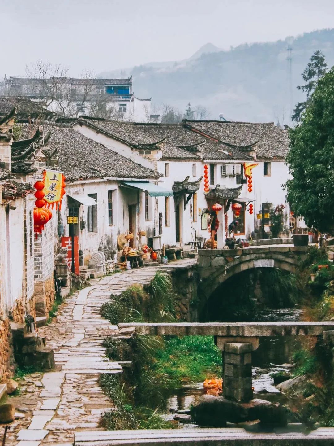 白鹭飞西塞山前白鹭飞_西塞山前白鹭飞什么流水_西塞山前白鹭飞下一句