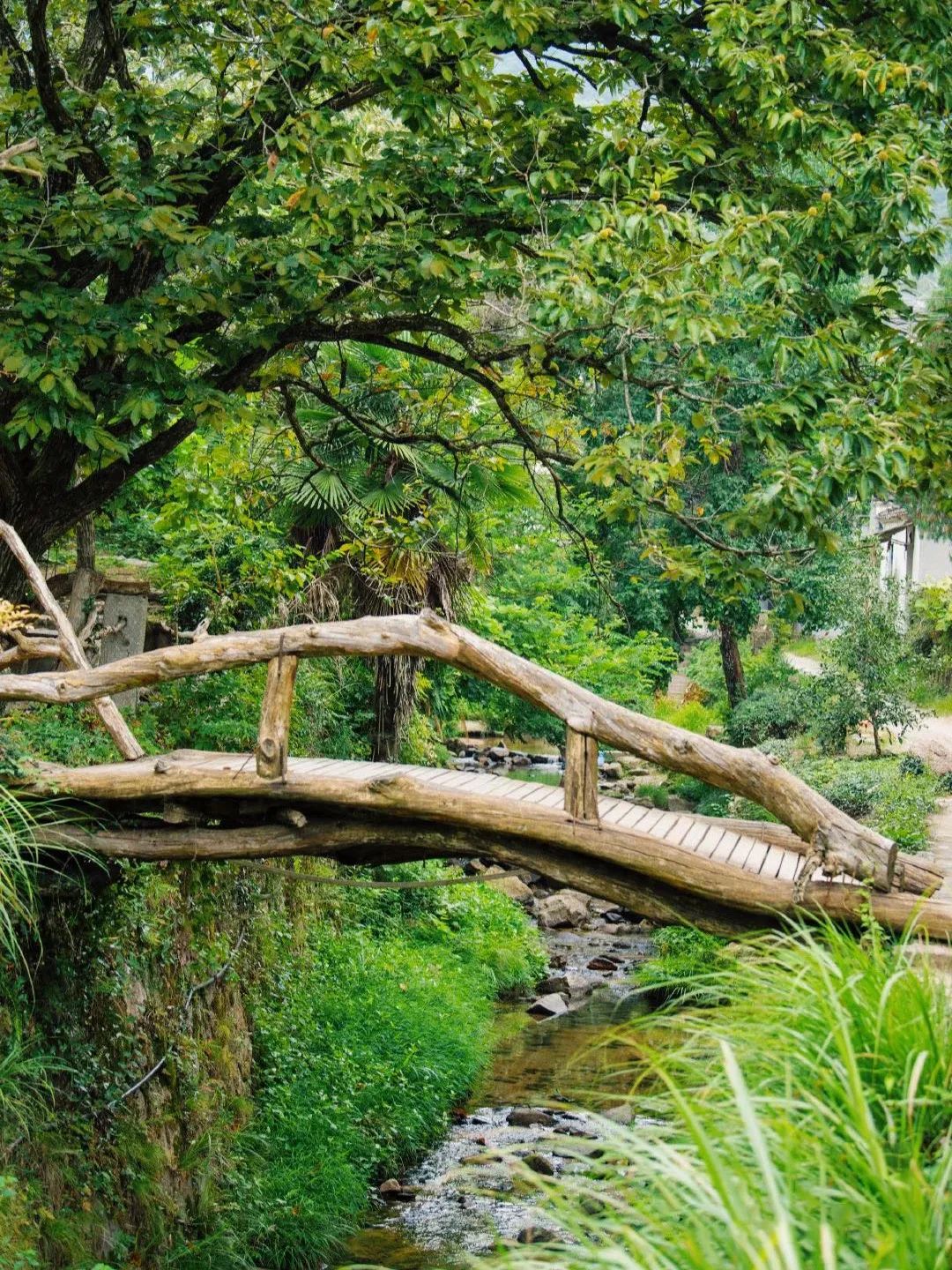 西塞山前白鷺飛什么流水_白鷺飛西塞山前白鷺飛_西塞山前白鷺飛下一句