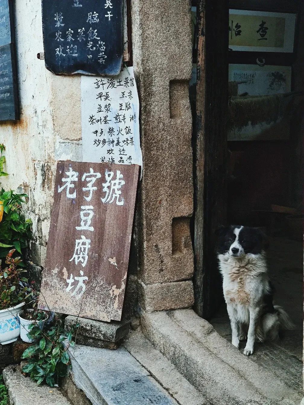 西塞山前白鷺飛下一句_白鷺飛西塞山前白鷺飛_西塞山前白鷺飛什么流水