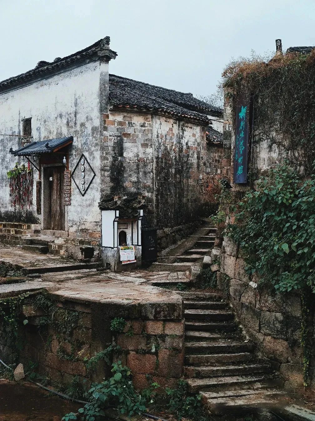 西塞山前白鹭飞什么流水_白鹭飞西塞山前白鹭飞_西塞山前白鹭飞下一句