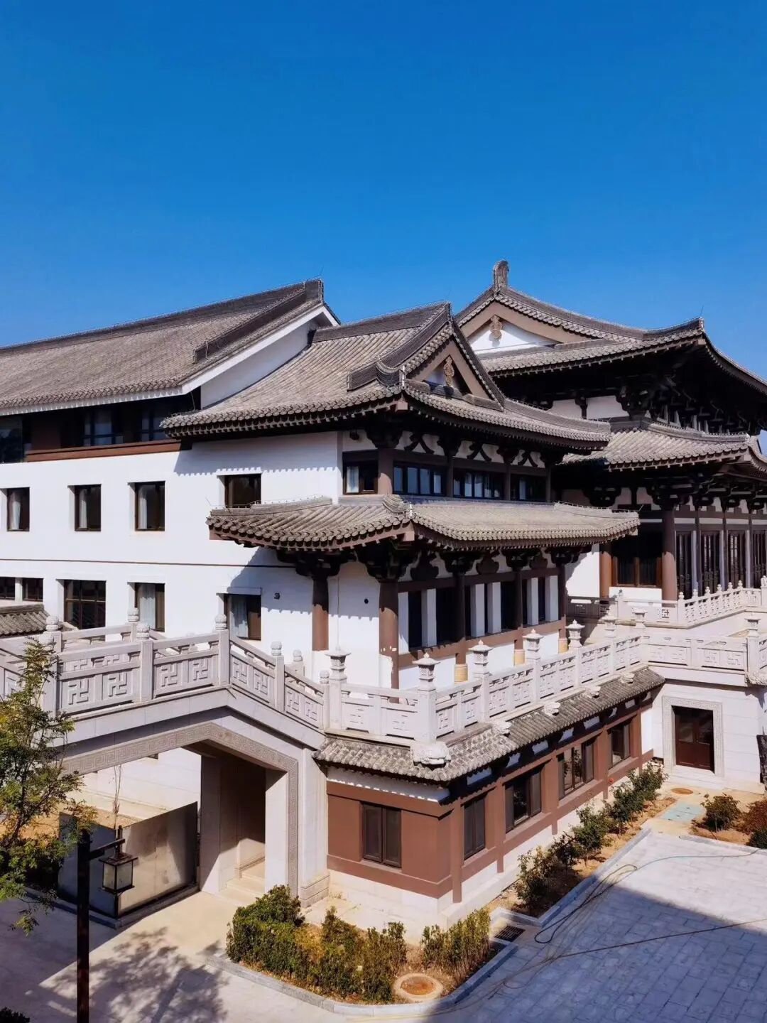 比厦门更烟火比成都更好吃赵丽颖安利我怎么没早点发现它