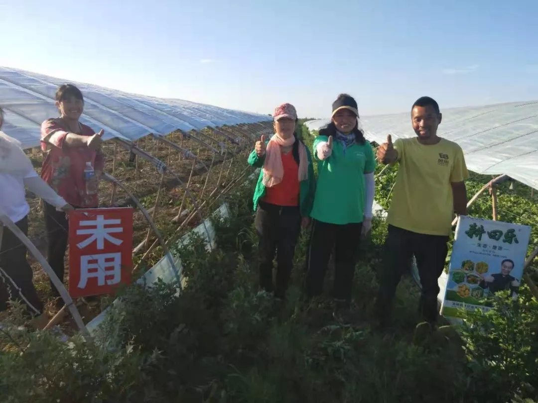 瓜农刘玉坤缘何 瓜甜了,高产了,赚大了 瓜农刘玉坤缘何 瓜甜了,高产了,赚大了