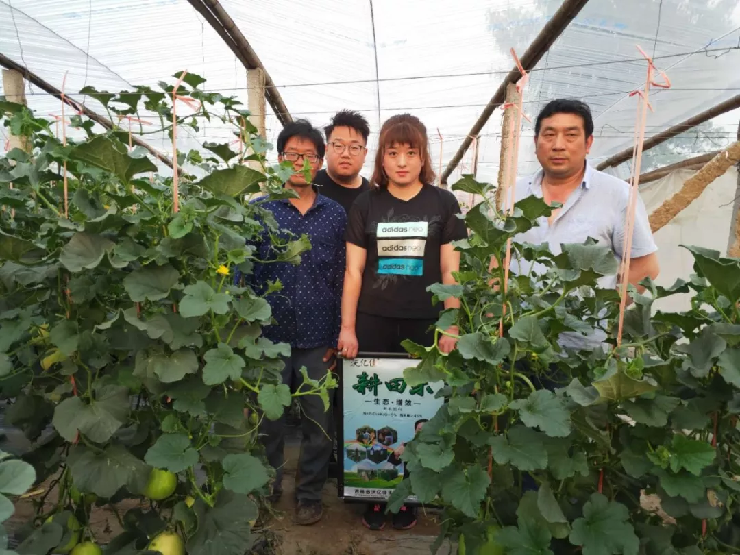 “耕田乐”水溶肥为瓜农挽回损失2.5万元 “耕田乐”水溶肥为瓜农挽回损失2.5万元