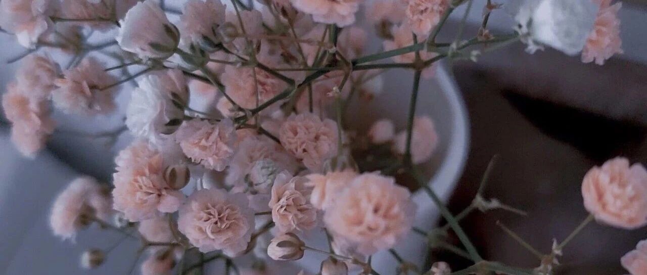 拾言丨近看之下，没有人是正常的。