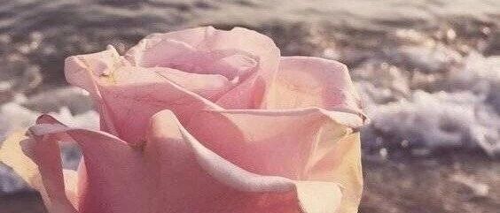 拾言丨我想把整个夏天的阳光在冬天时寄给你。