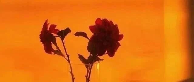 拾言丨真的不忍心告诉你，这世界只是一个梦。