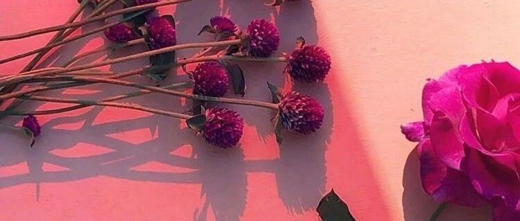 拾言丨你要允许时间慢慢流走，花些时间去感受人间值得。