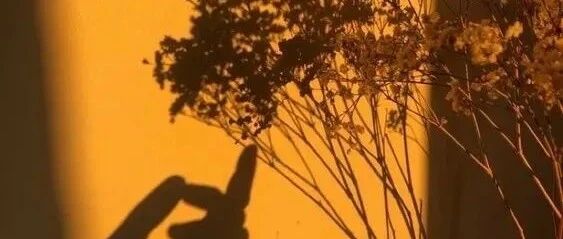 拾言丨尽量不给别人添麻烦，尽量不给自己找麻烦。