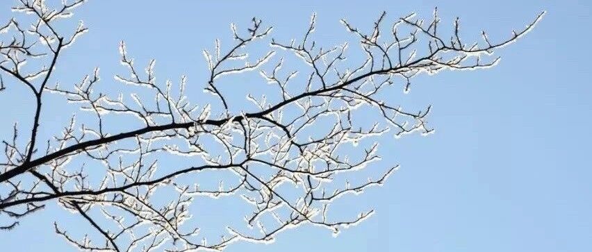 拾言丨什么都明白的人最温柔也最冷漠。