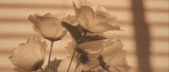 拾言丨给时间一点时间，一切都会过去。