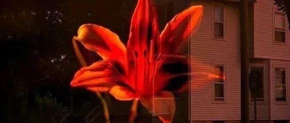 拾言丨令你不开心的人和事，趁早算了。