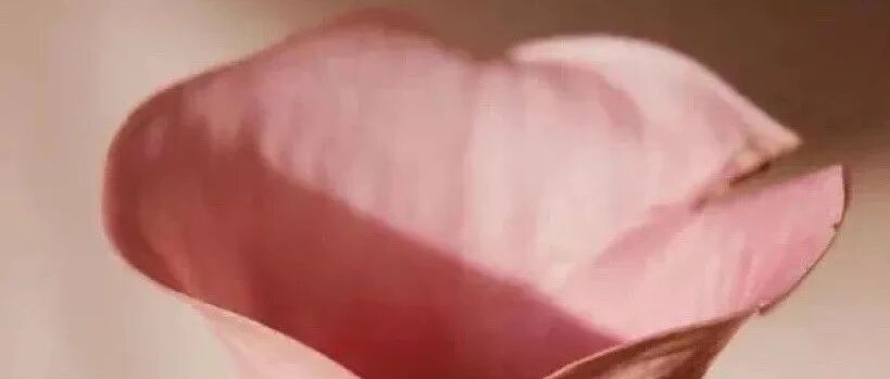 拾言丨做你该做的事情，并且接受事与愿违。